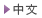 中文