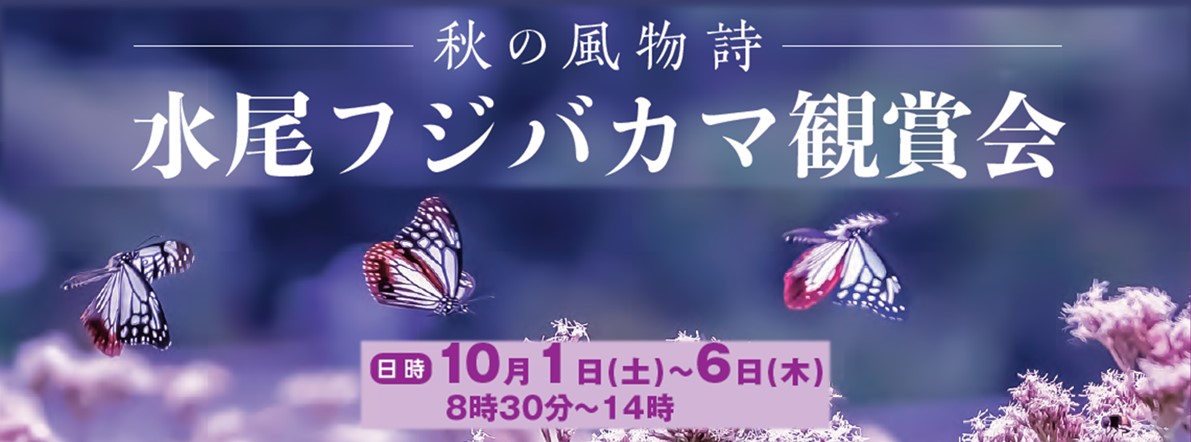 京都マラソン