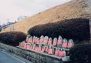 御土居の写真1
