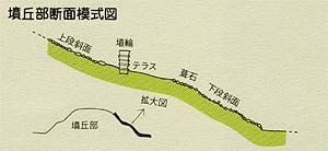 天皇の杜古墳の説明図