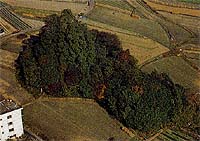 天皇の杜古墳の説明図
