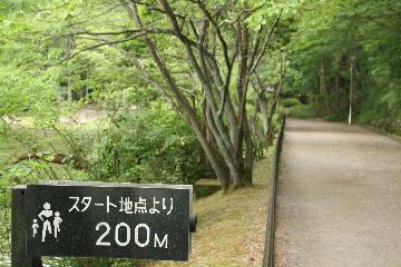 200メートル地点