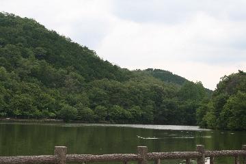宝が池風景（北側）