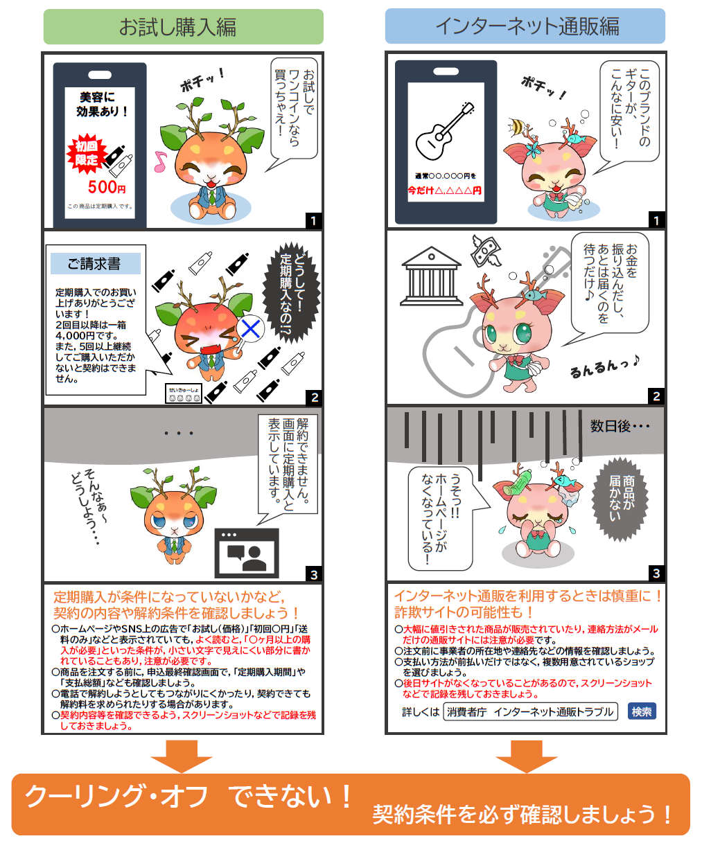 お試し購入、インターネット通販の事例