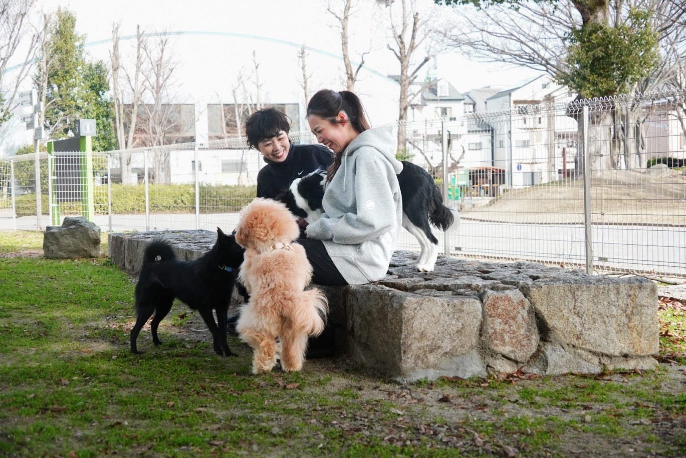 ドッグランイメージ