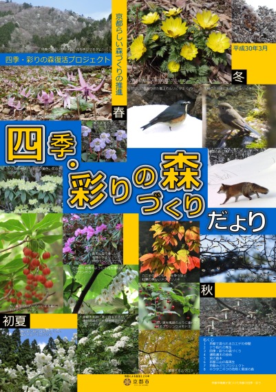 四季・彩りの森づくりだより（平成30年3月）