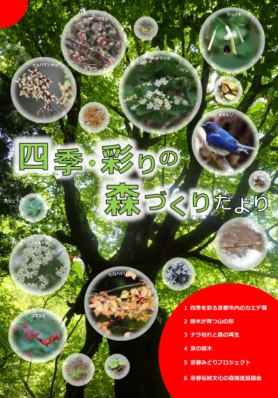 四季・彩りの森づくりだより（令和2年3月）