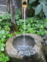 伏水の写真