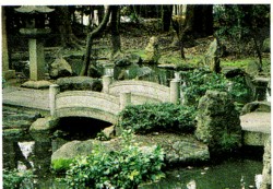 石橋の写真