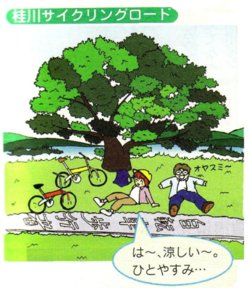 桂川サイクリングロードの木陰のイラスト