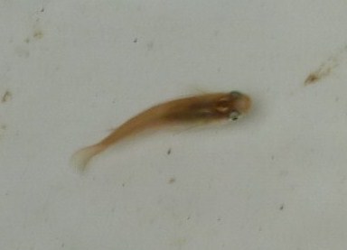 P1020081(2)