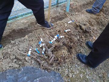 島根の生産者の方から説明を聞く児童たち（醍醐西小）