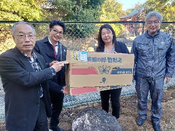 苗木を花壇に埋めています（池田小）