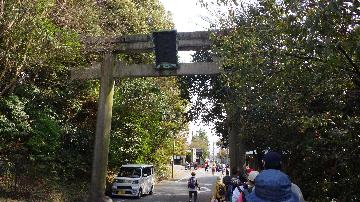 活動の様子