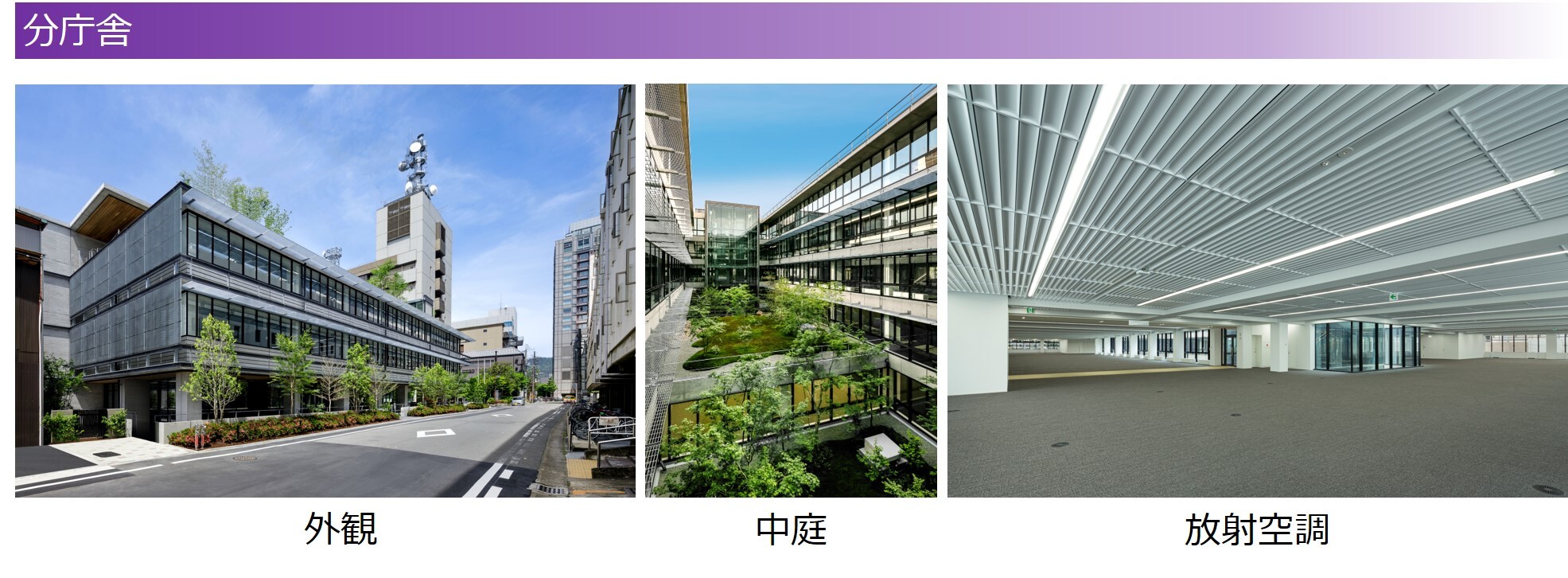 分庁舎