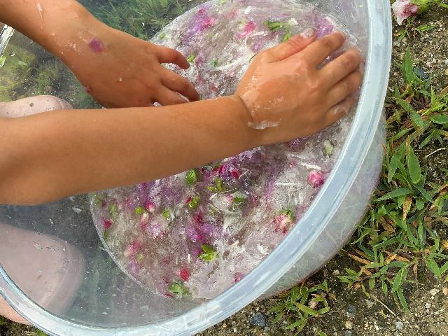 むくげの花のスライム遊び