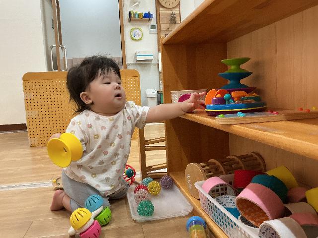 どれで遊ぼっかな。