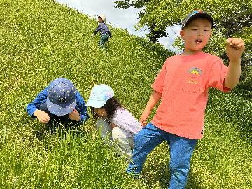 『散歩ってたのしいな』 　子どもたちの大好きな鴨川へ、春の風を感じに散歩へ行きました。 サラサラ流れる川の音を聴きながら、「めっちゃたのしいわ！」と草のにおいや土の感触を全身で味わうように土手滑りに何度も挑戦したり、真剣な表情で虫探しをしたり…と五感をフルに使って、春の自然をのびのびと楽しむ姿が見られました。
