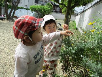 ぱんだ園庭あそび