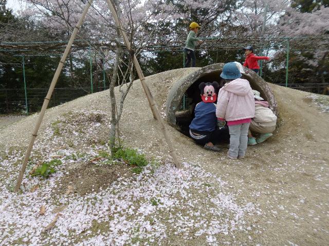 京都市 弓削の里と共に 春の芽吹き