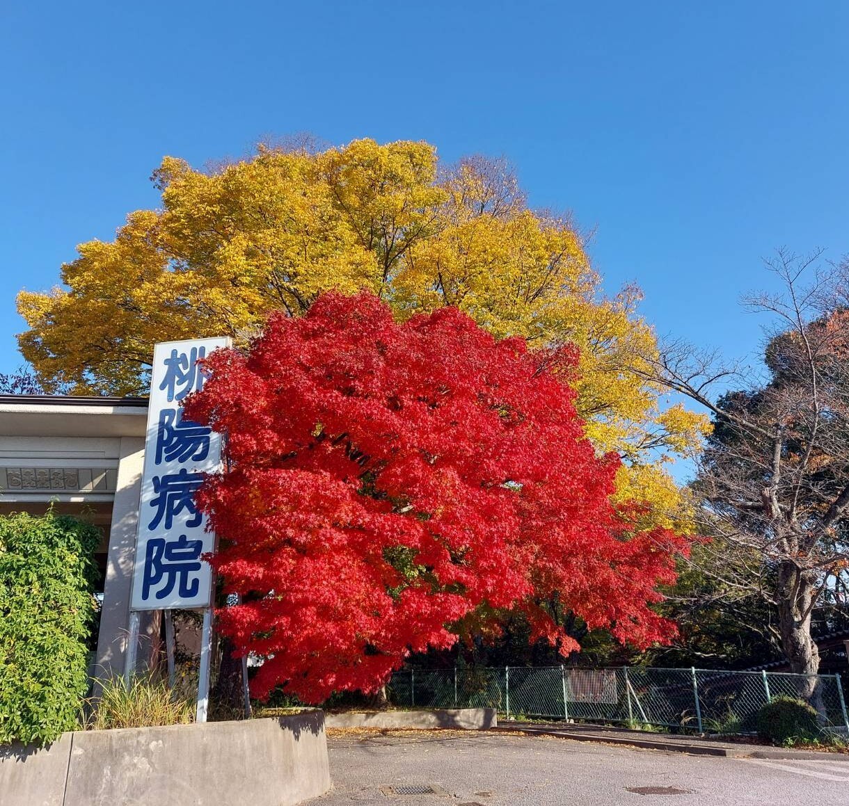 病院玄関