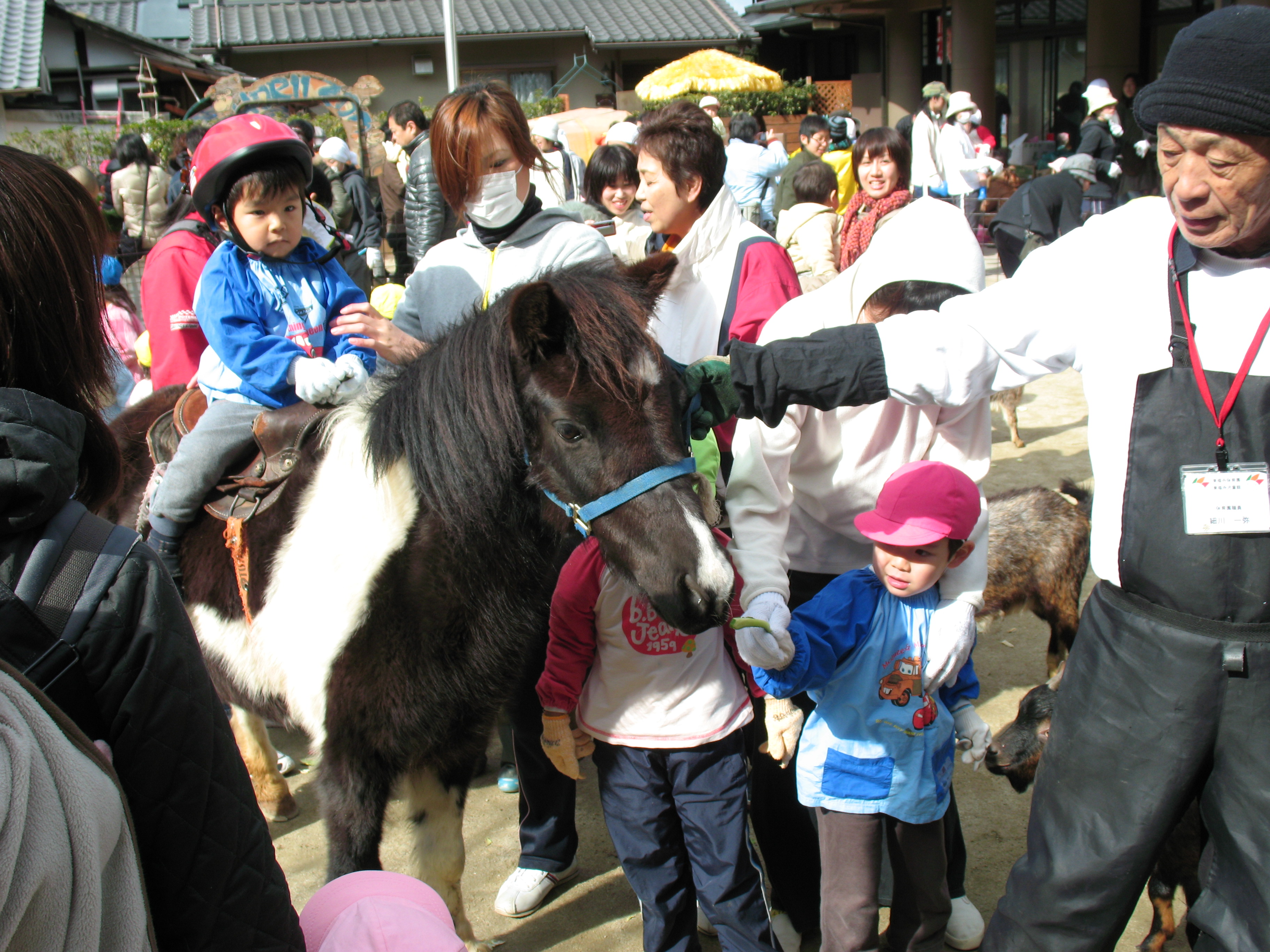 移動動物園の様子