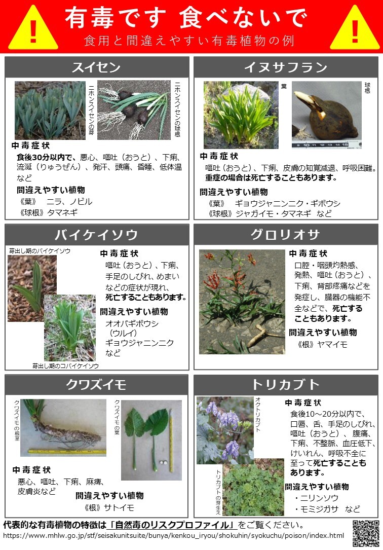 有毒植物に注意しましょう