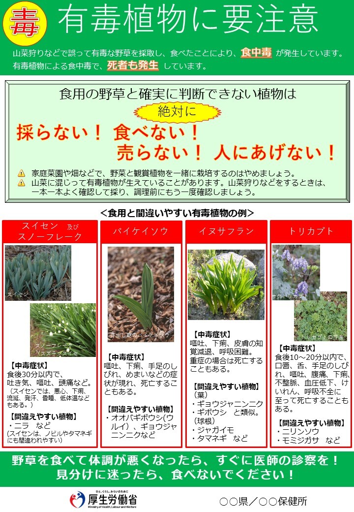 有毒植物に注意しましょう
