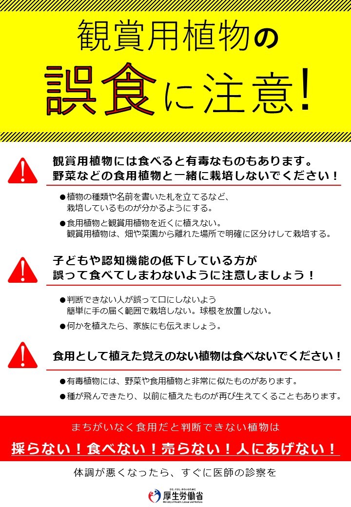 有毒植物に注意しましょう