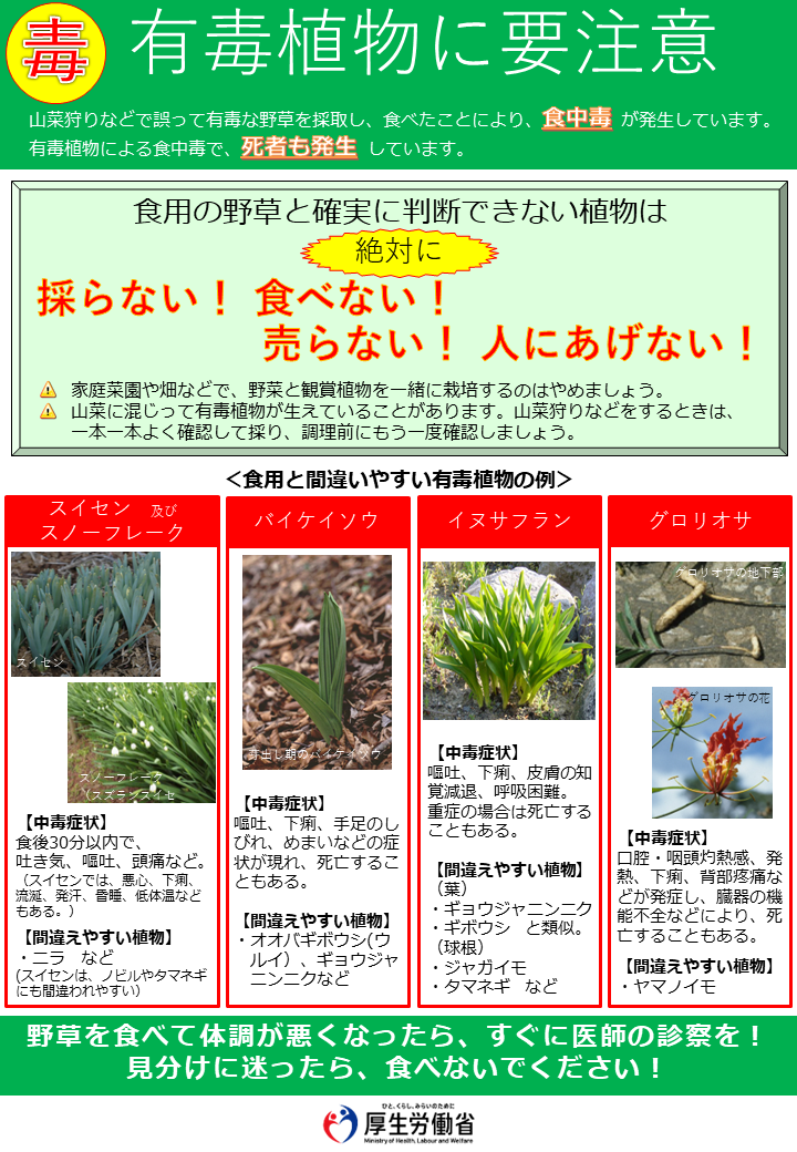 有毒植物に注意しましょう