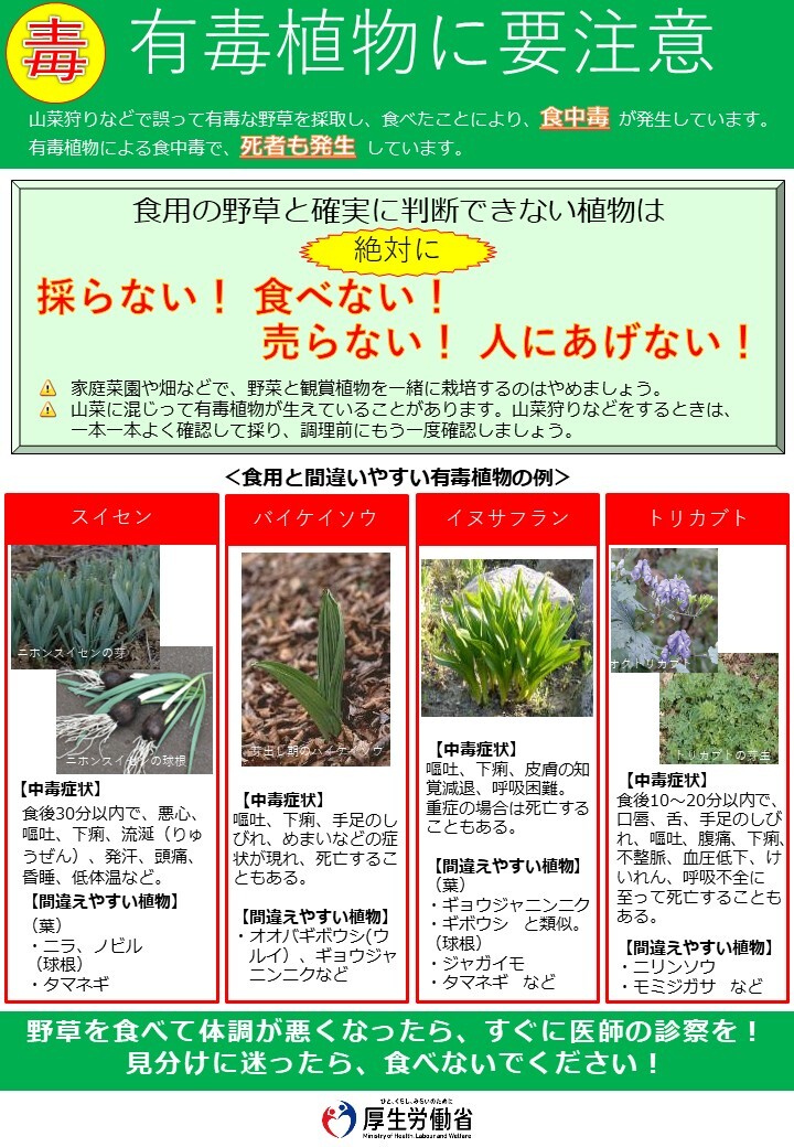 有毒植物に注意しましょう