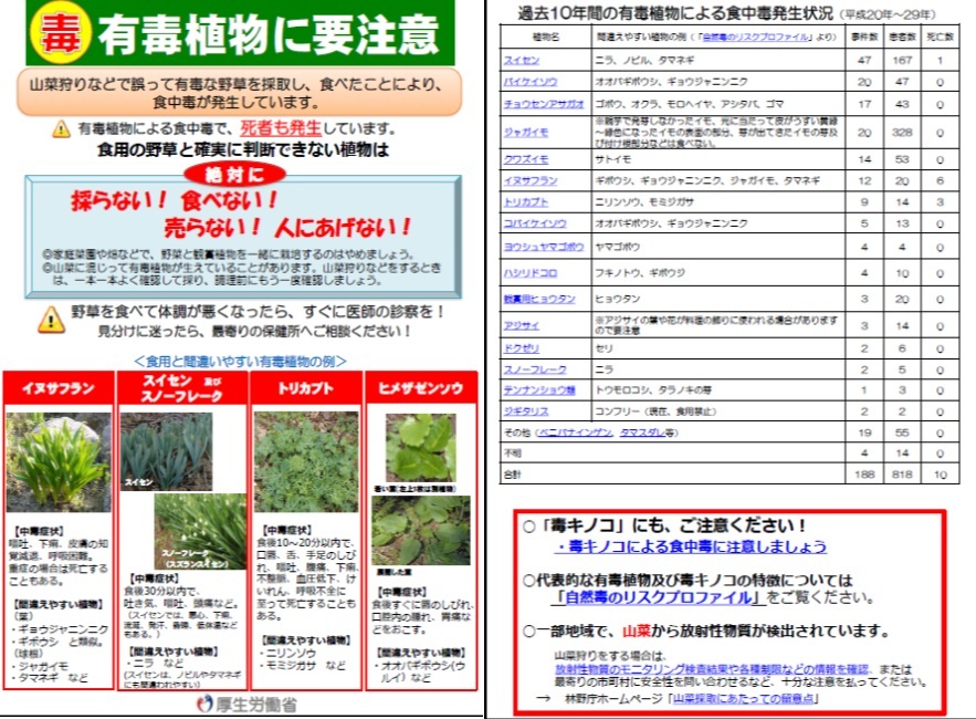 京都市 自然毒による食中毒に注意しましょう