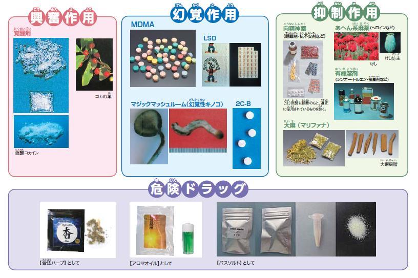 京都市 薬物乱用は ダメ ゼッタイ