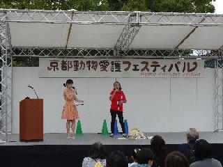 愛護フェスのイメージ