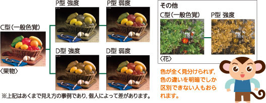 C型，P型強度・弱度，D型強度・弱度の果物の見え方　その他，花の見え方（C型とP型強度）
