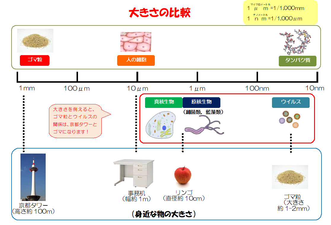 京都市：微生物部門の紹介