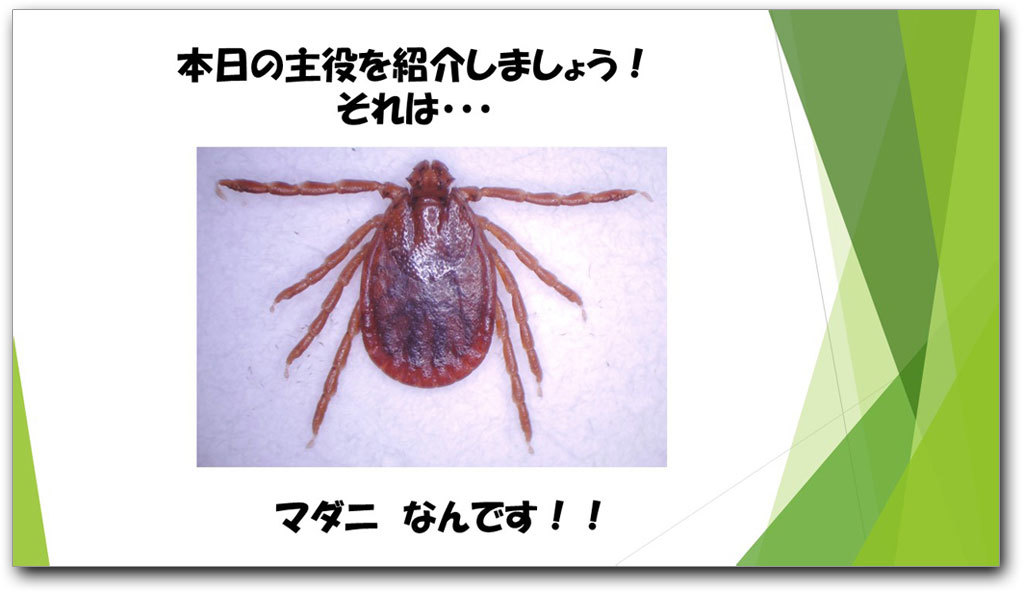 マダニの拡大写真が写ったスライド