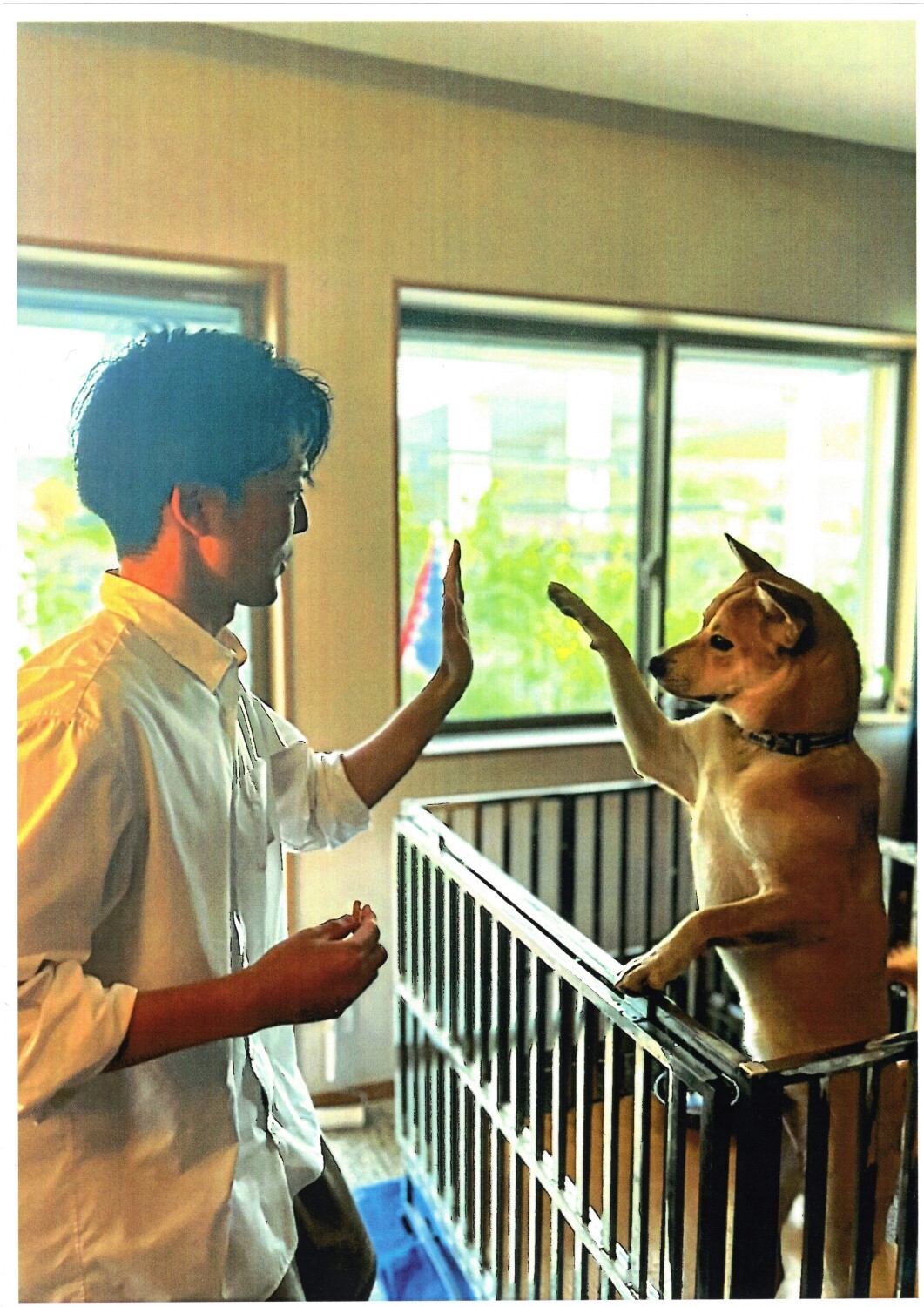 譲渡動物特別賞作品