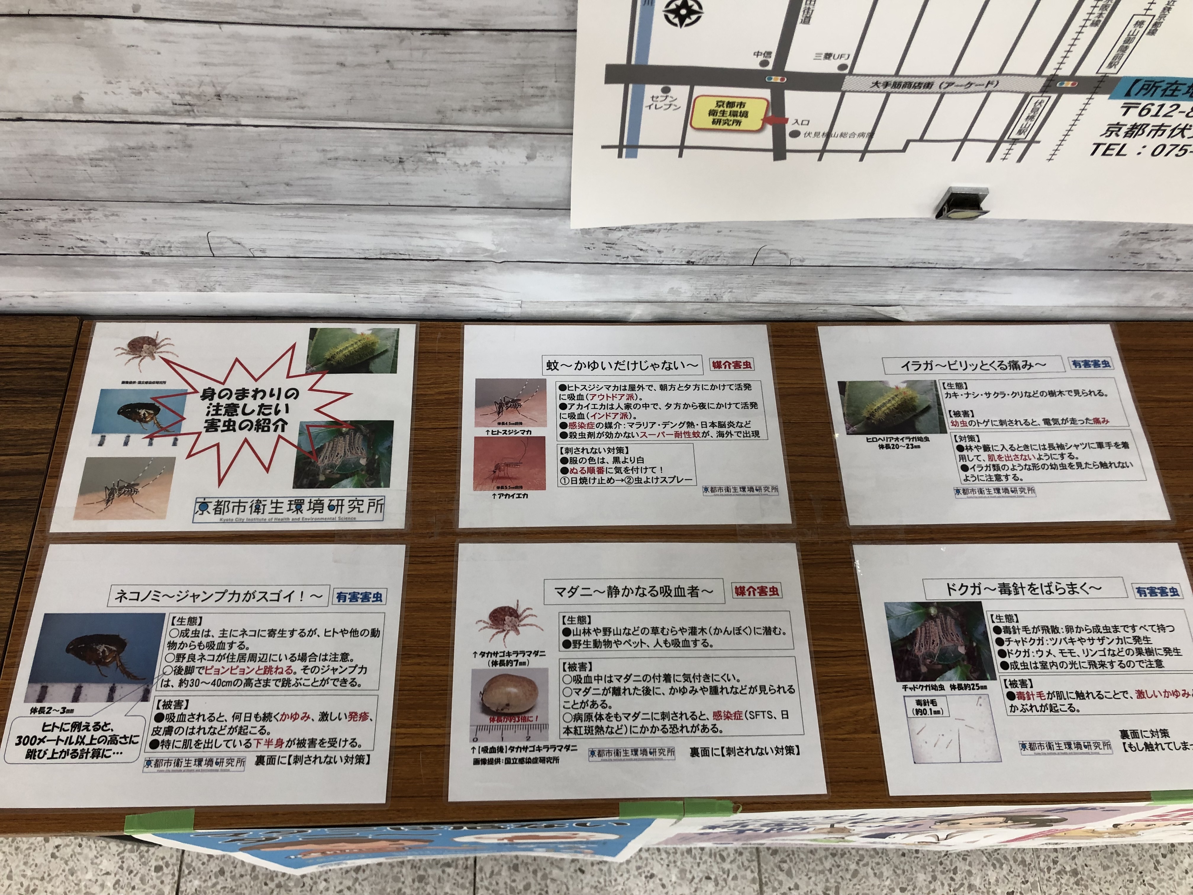 人に害を及ぼす害虫の紹介