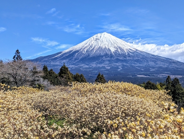 JTB「旅行券（5,000円分）」