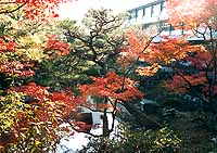 擁翠園写真