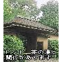 第161回