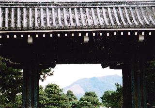 ここはどこ？第202回