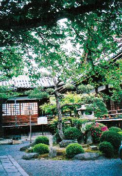 ここはどこ219回