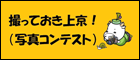撮っておき上京！