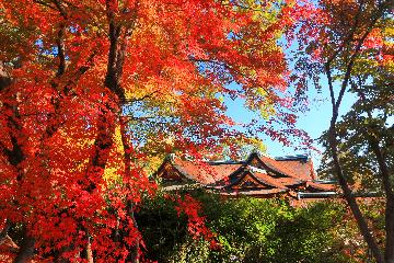 北野天満宮風景