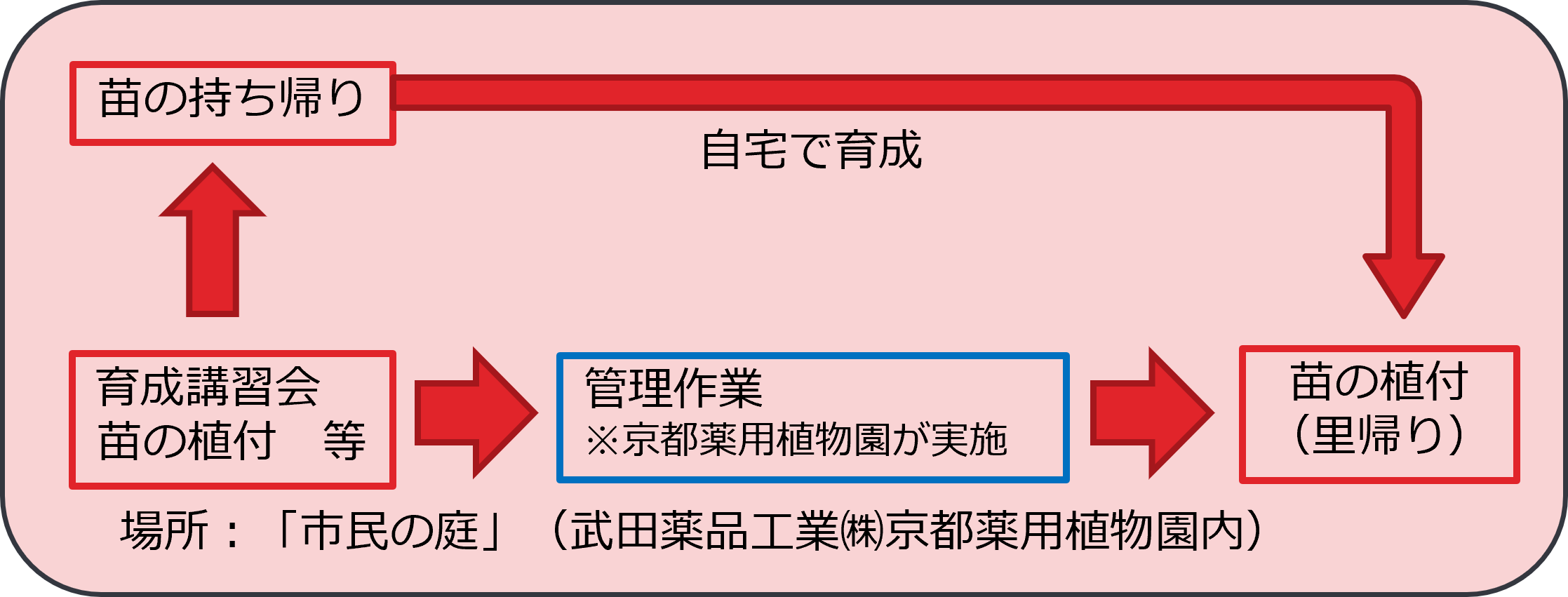 取組の流れ