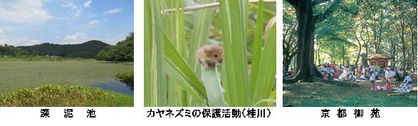 京都生きもの100選の一例です。