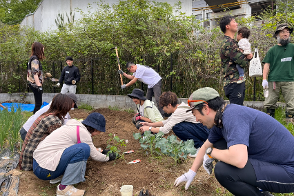 KYOTO URBAN FARM