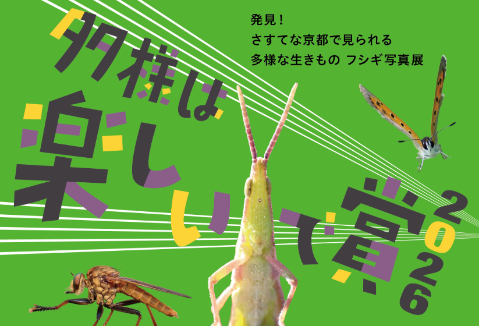 企画展のイメージ画像